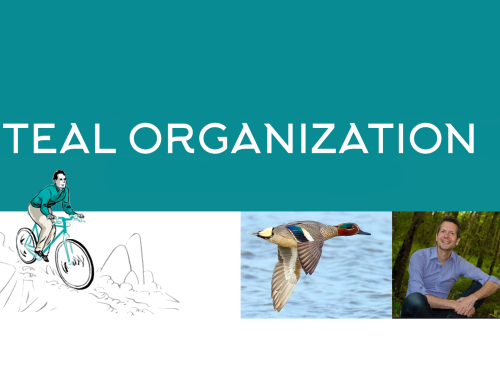 Teal Organization