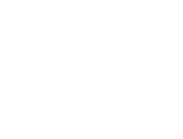 Culture of Action