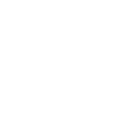 School of Art and Culture