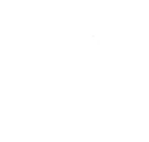 Vision Values Goals