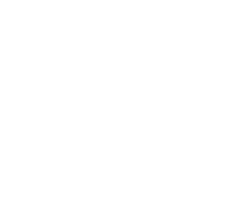 Wisdom In Action Declaration